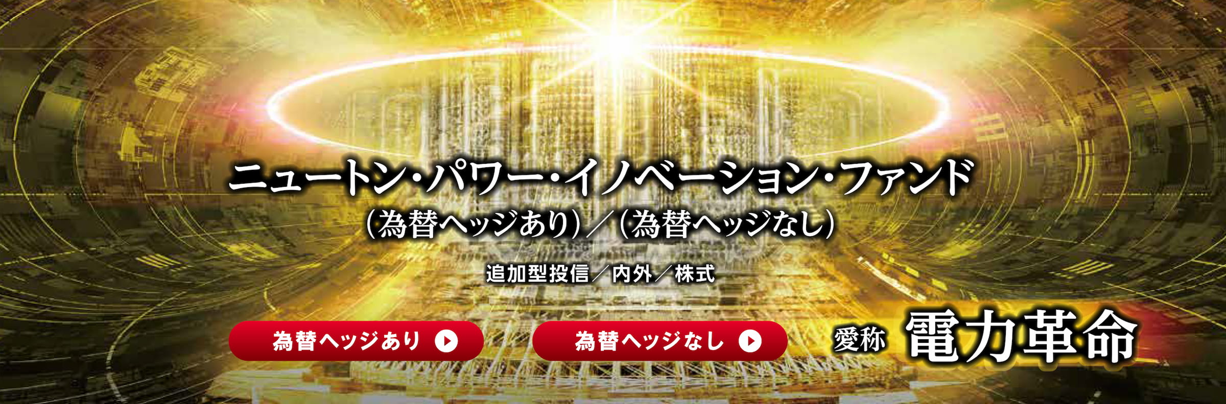 サイバーセキュリティ株式オープン